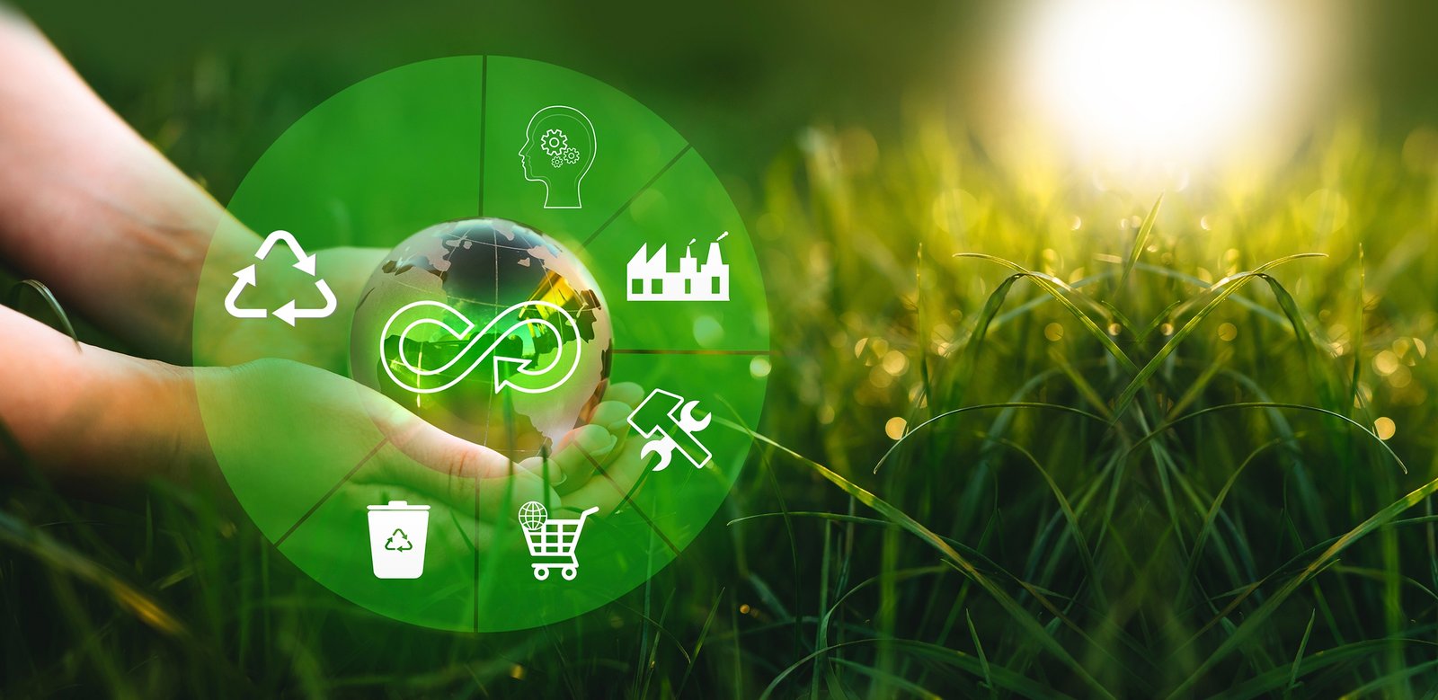 sustentabilidad-background